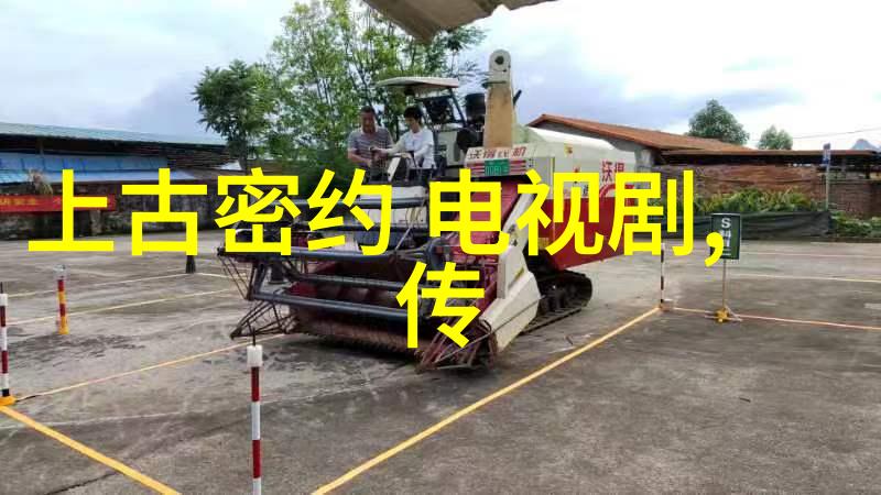 鸡爪的奇妙之旅揭秘一份鸡如何消化十个鸡爪