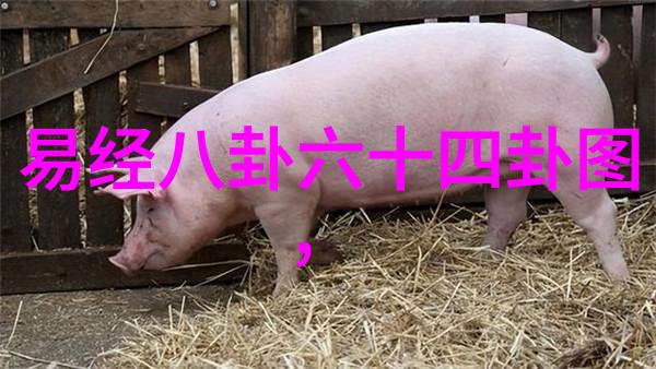 俞灏明烧伤背后的易经卦象图秘密揭晓真实照片曝光