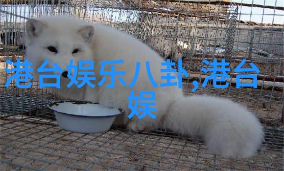 旋律伴侣无缝体验音乐播放器的免费之选