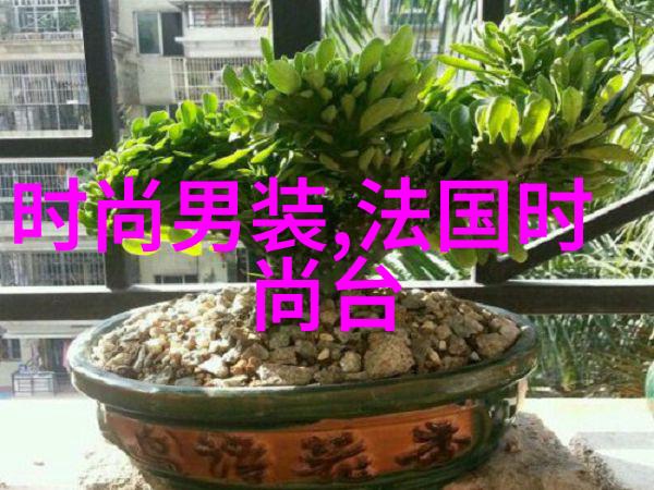谢金晶AI合体猪哥亮感受重现江湖的时刻台湾开放大陆市场何时