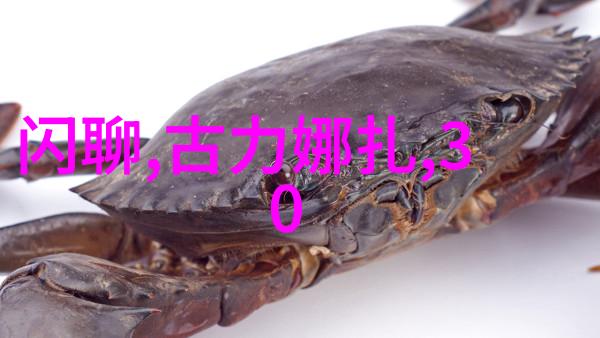 除了视频内容外天天娱乐网还有哪些多样化的服务和产品