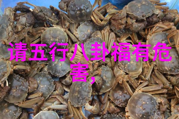 筝声悠扬陆筝与陆殊的艺术探索