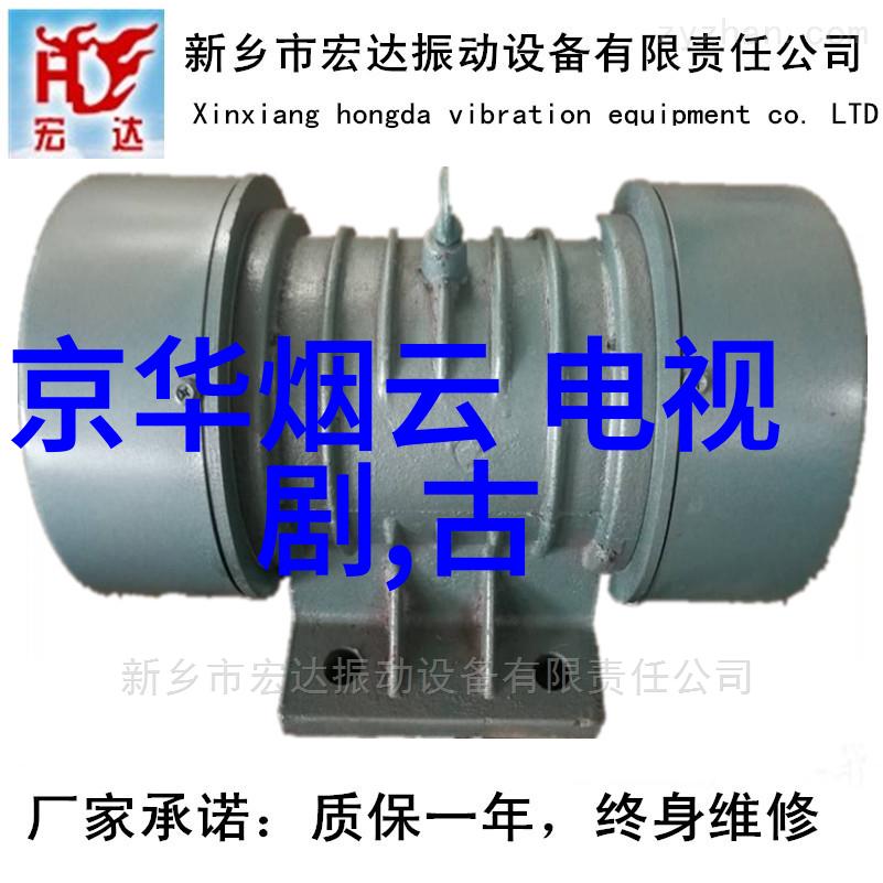 我岳父的武林秘笈揭秘我的岳父会武术电视剧背后的武学智慧