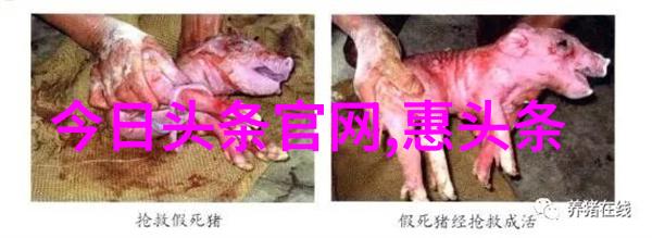 你如何看待电视剧免费观看超越了单纯的娱乐这一层面