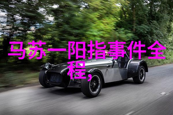 星光闪耀的背后综艺盛典中的秘密与谜团