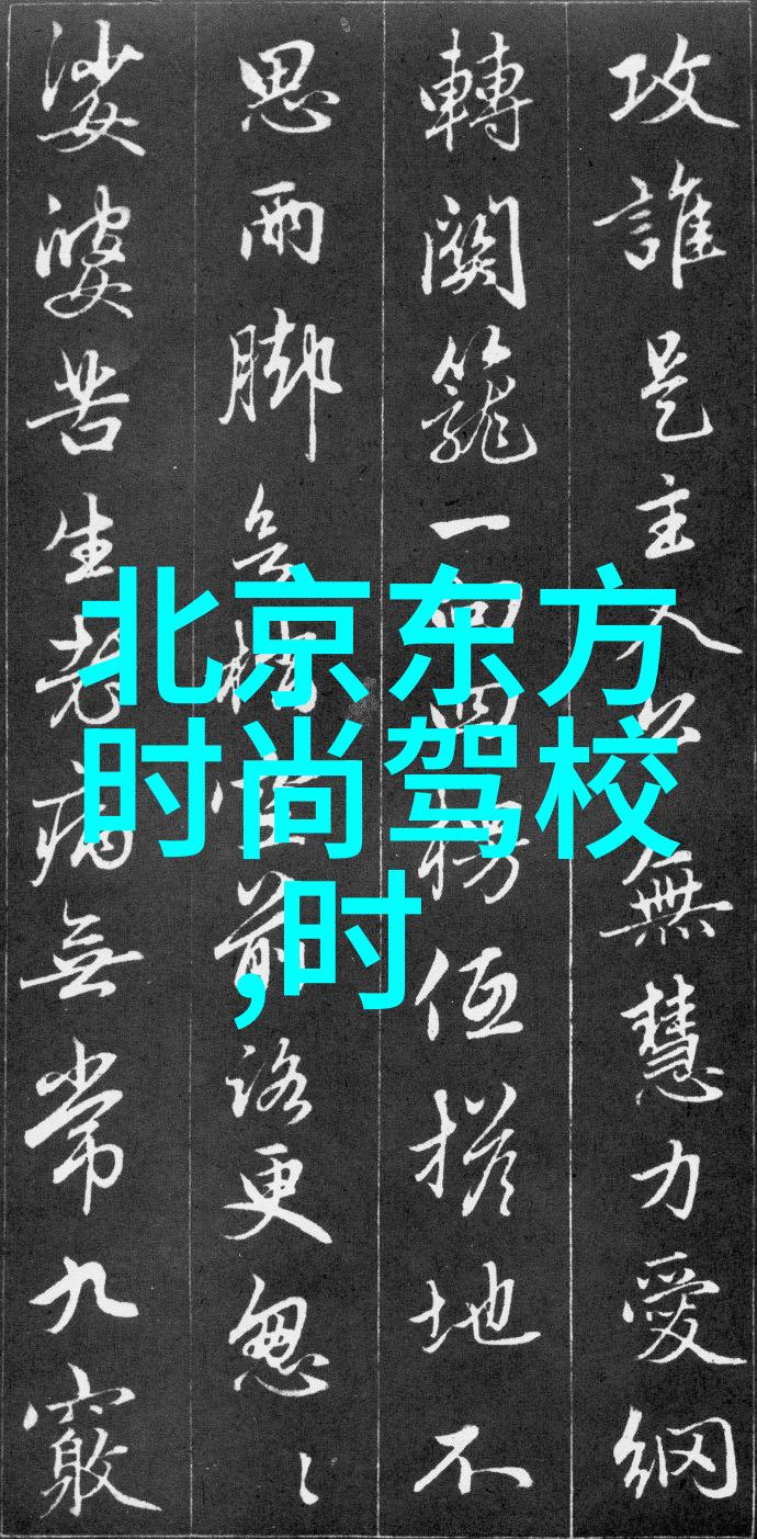 誘惑的光影探索诱惑写真背后的艺术与魅力