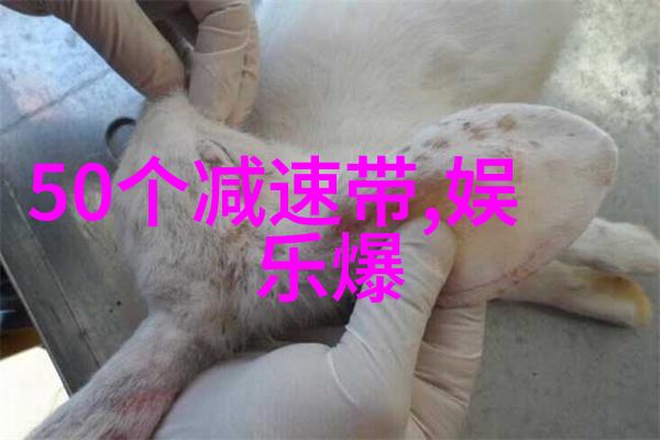 天文历代相传地理今古共融揭秘每个八卦象的文化内涵
