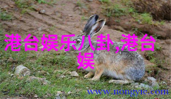 为何说精美图片壁纸能带来心灵放松