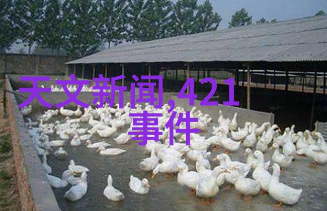 网红雪梨个人资料揭秘她那让人着迷的生活故事