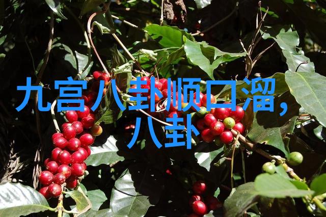 跨海之旅大陆游子向台湾的呼唤