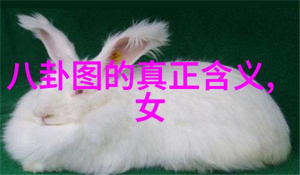 爱的反差从夕阳下的拥抱到星光下的默契