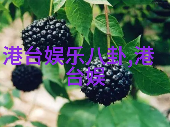 联手打击娱乐圈不正之风
