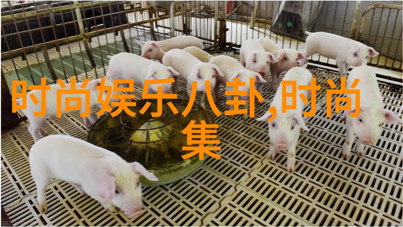 娱乐圈的花朵何超莲亲手为她心仪之人窦骁精心准备一份甜蜜蛋糕这份惊喜无疑是他们情感旅程中的一座里程碑仿