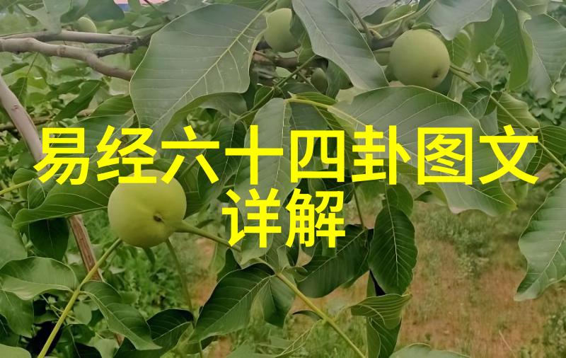 台湾人自称国名之争台湾中国与中华民国的纠结