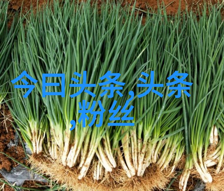 多一人观看少一个人被骗打造月光影院免费视频新模式在社会上掀起热潮