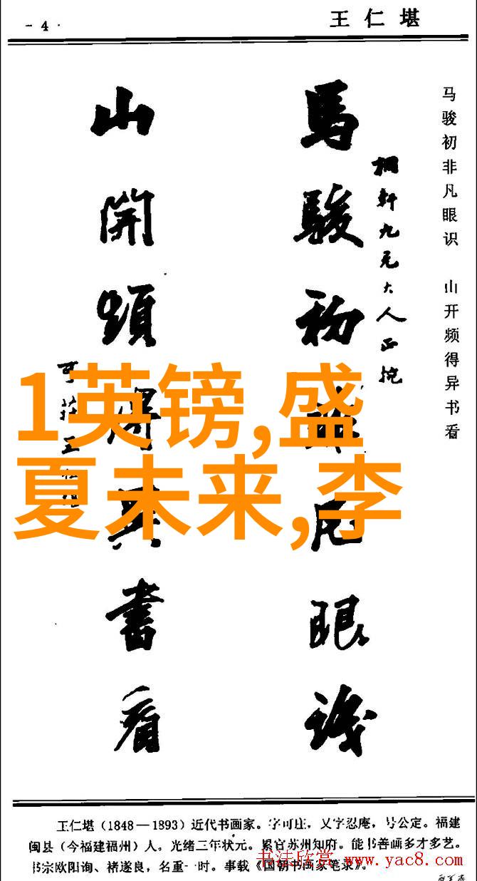 明星背后的债务笑颜掩饰的负担