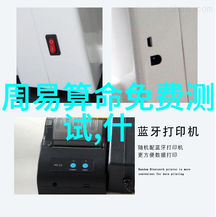 网红夫妇雪莉与她的天空冒险