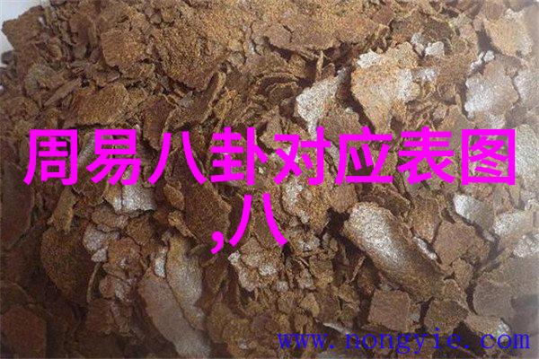 入门必备奇门遁甲的基本操作和实战技巧