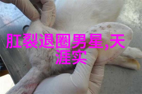 金子涵是美国国籍混血儿吗三在八卦里代表什么她个人资料简介