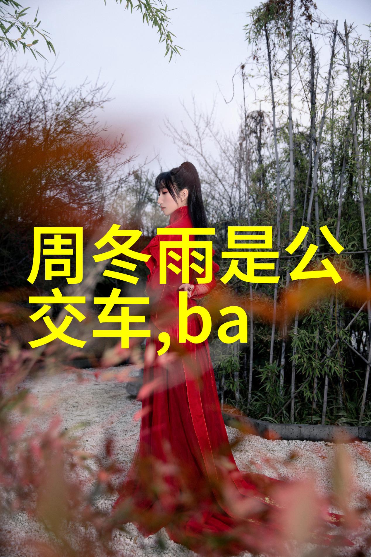 宋智雅恋爱综艺我是如何在宋智雅的恋爱节目上学会了爱情的