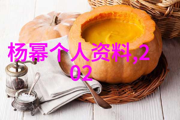 网红雪梨儿子的傻瓜日记幕后真相与无奈坚持