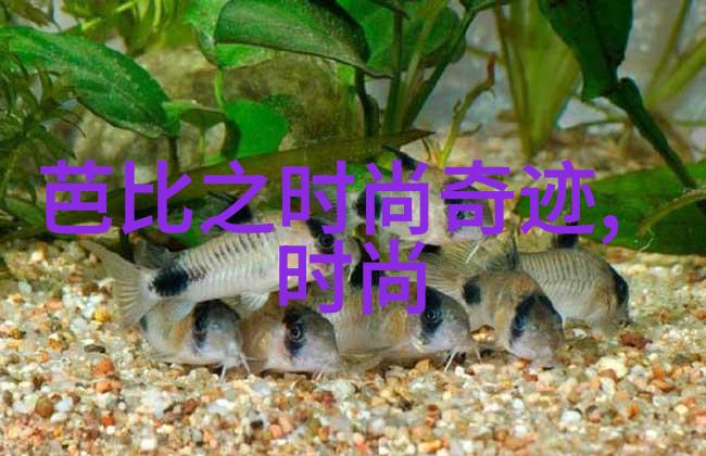 10月两岸要发生大事-十月风云两岸关系将迎来重大转折