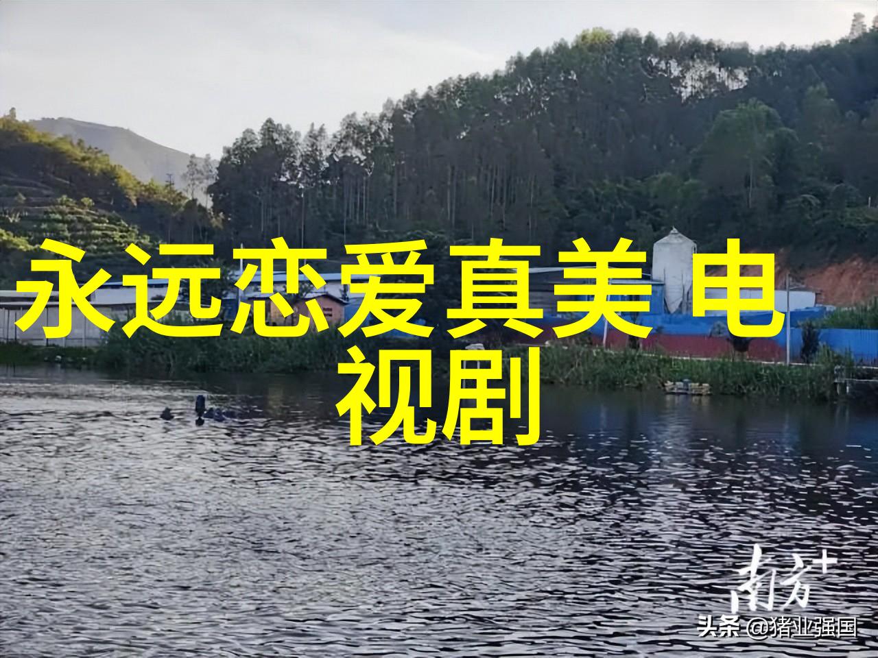 透视女性魅力的多面体不同风格的美女写真展览