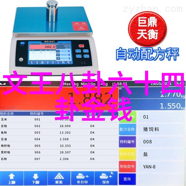 探究网红形象的特征从视觉文化到社交媒体审美标准的演变