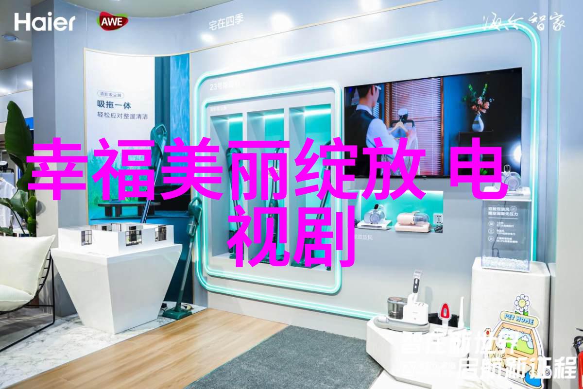 日本综艺节目文化研究镜头下的日常与娱乐