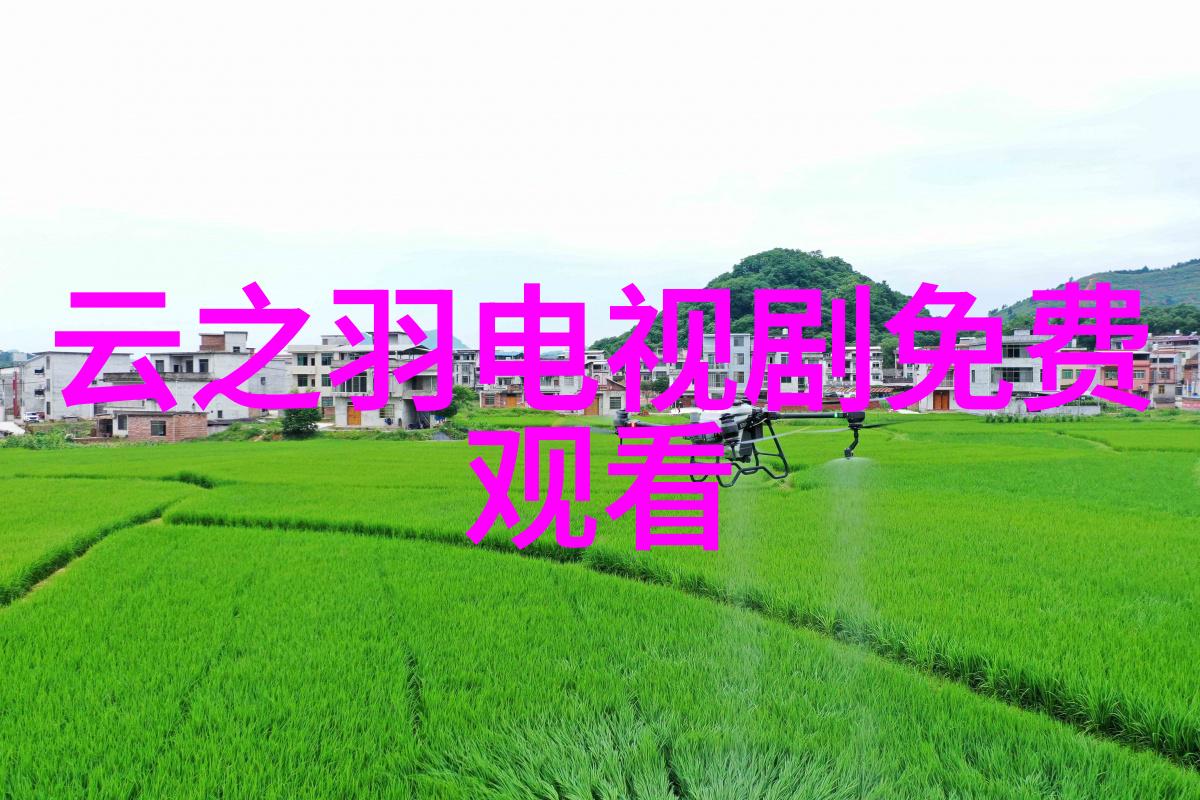 张柏芝师妹陈晓撞脸男陈晓 网友调侃陈妍希小姑子