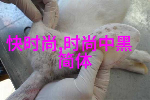 匠心传奇俞灏明叶锦添和Lili的神秘联名款诞生