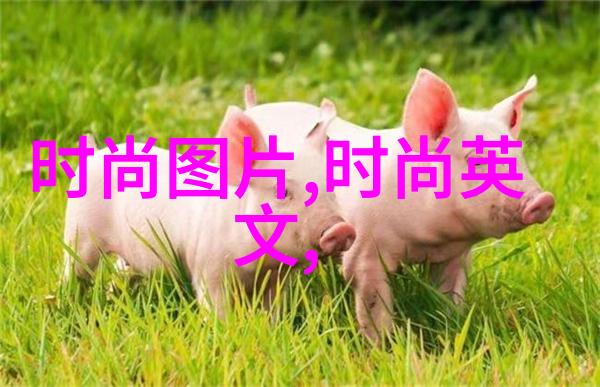 揭豪门女私生活 港姐张舒雅厕所拍男友小解
