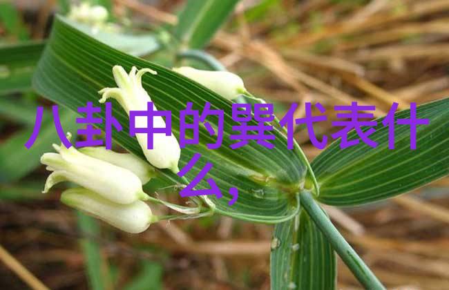 酷狗音乐下载安装2021免费下载-轻松获取流行曲目的便捷方式