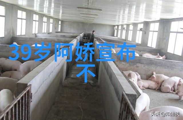 除了视觉效果外高清美景图片还有其他什么样的吸引力或功能