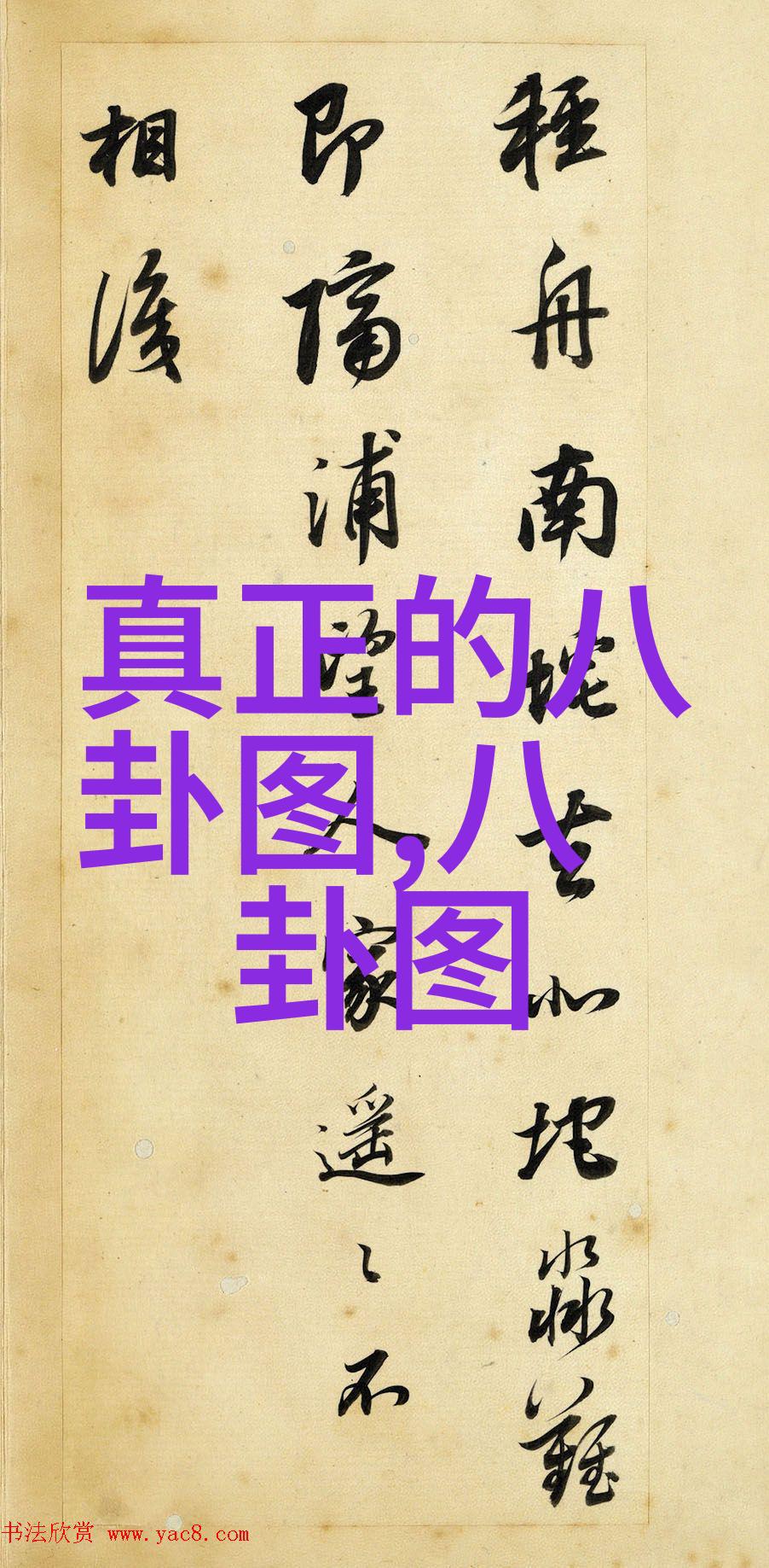乱码不阻挡免费中文字幕电影的魅力探索