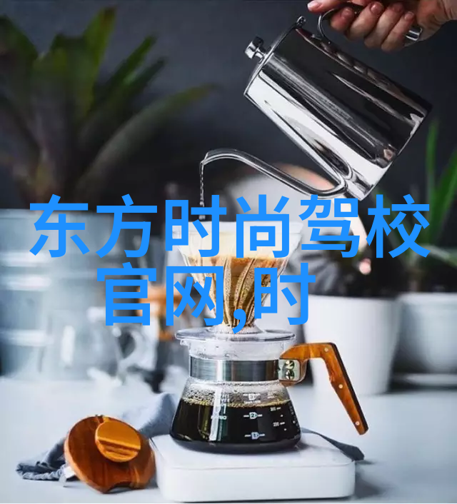 轻松体验音乐无限免费版安装指南