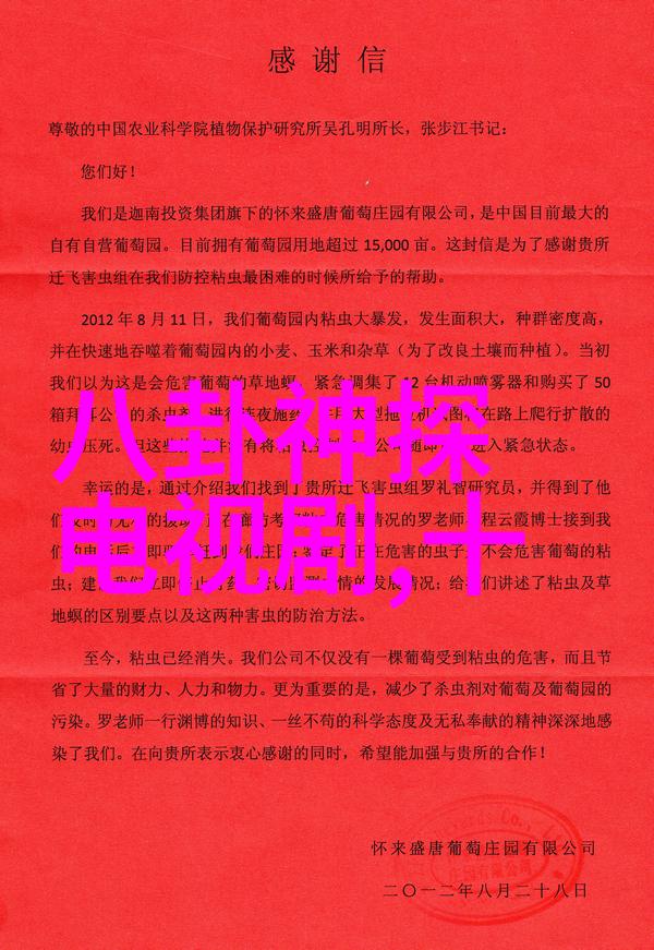 88影视盛宴中国电影电视剧节目大赏