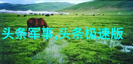 搜狐娱乐精彩内容搜狐网最新娱乐新闻与热门综艺节目