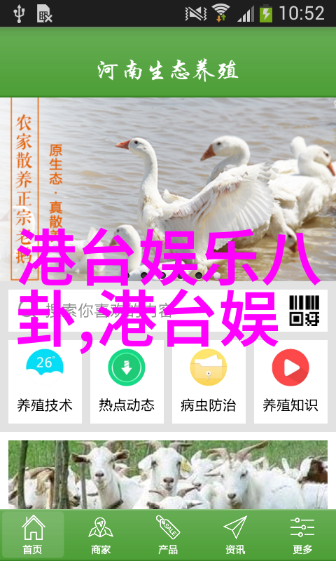 绚烂梦幕揭秘最新潮流摄影艺术