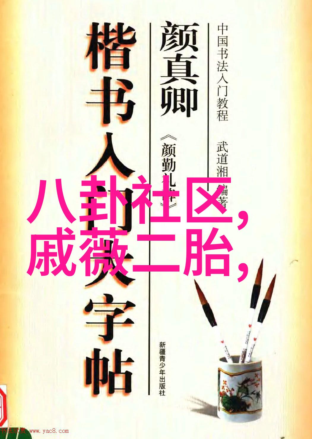 娱乐圈的阴影孙菲菲的挣扎与反思