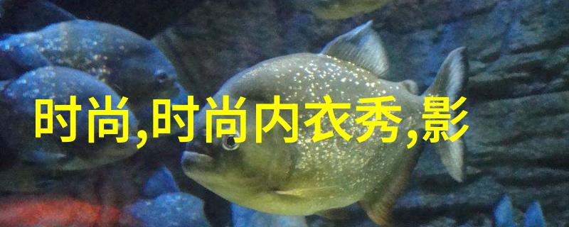 不同凡响的洞察力如何成为一位能够看透人心的大师级人物