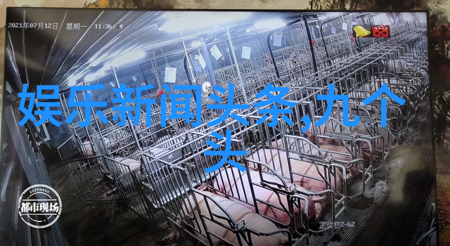 时尚宾馆装修效果图点亮我的莫格利男孩杀青盛宴