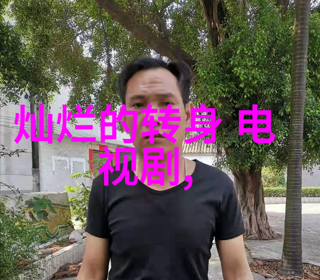 揭秘我的岳父会武术一部融合武侠与家庭喜剧的奇迹