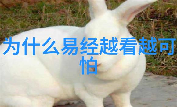 地球的巨大块探索世界上分成几个大陆