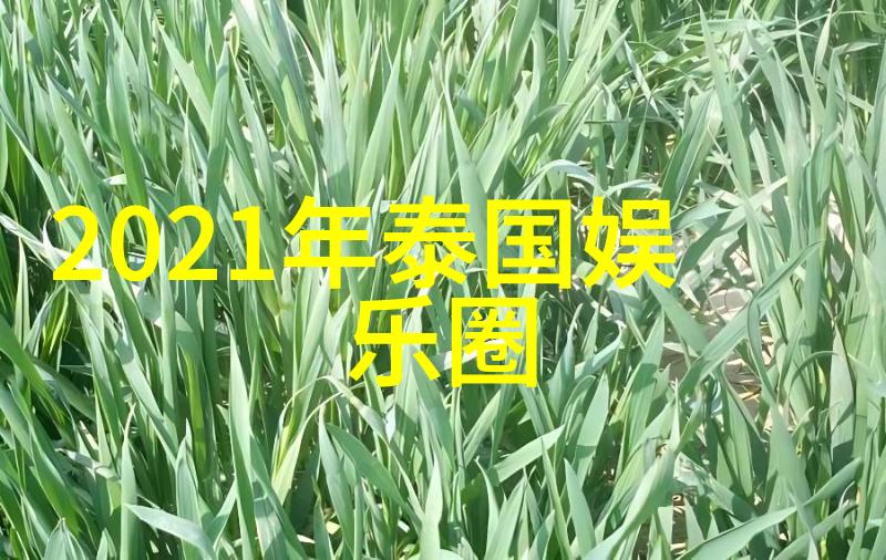 奔跑吧综艺节目背后的制作秘密有哪些