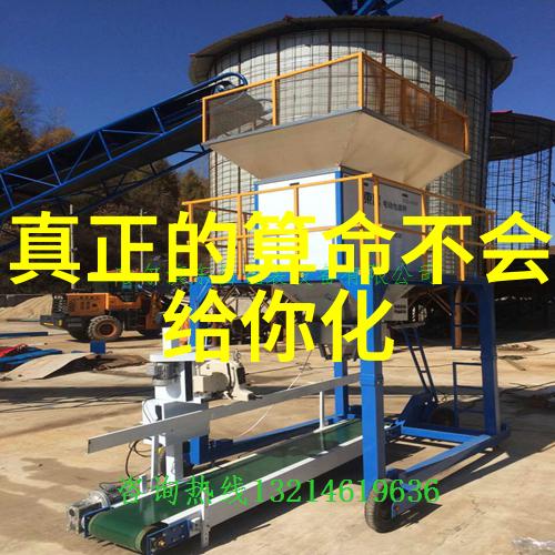 绿营挑战蓝营优势台湾地方选举结果揭示民意变化