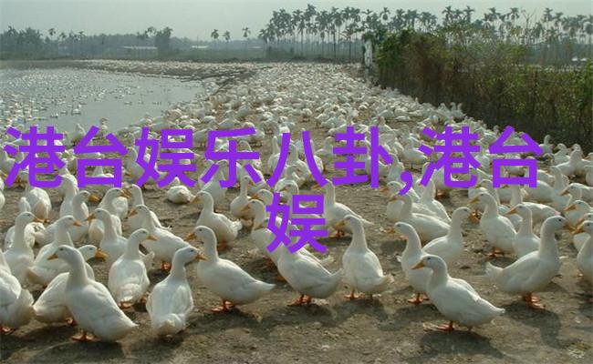 杨紫写真细语与微笑之间的美丽瞬间