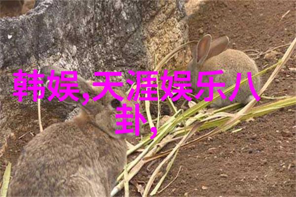 梦幕轻启无垠影视的秘密花园
