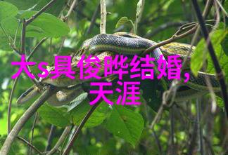 300501-数字时代的新篇章解读300501背后的文化符号