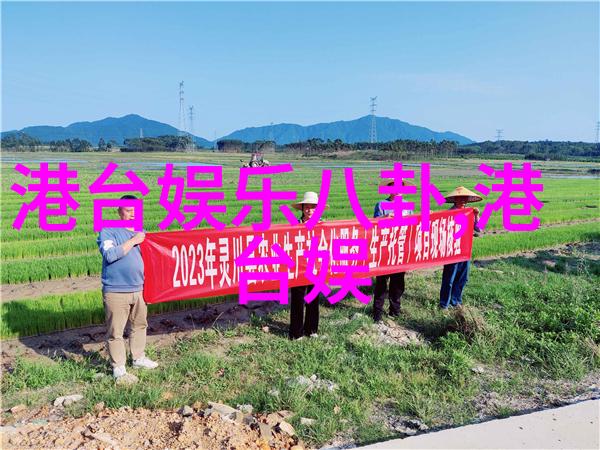 从最好的我们看成长的烦恼与勇敢的选择